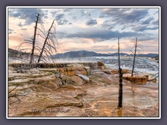 Mammoth Hot Springs - Tote Bäume und Wasserkaskaden