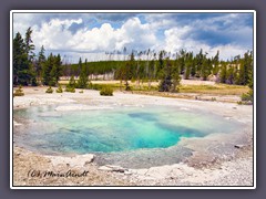 Norris Geyser Basin - Crater Spring