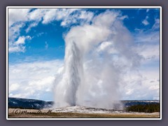 Old Faithful