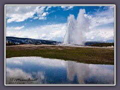 Old Faithful - alle 3 Stunden bricht dieser berühmte Geyser aus