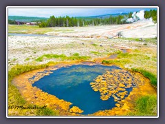 Old Faithful - Chromatic Pool