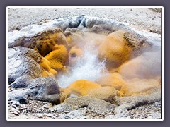 Old Faithful - Pump Geyser