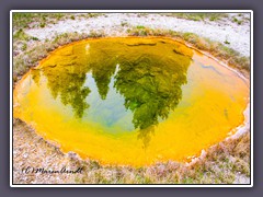 Old Faithful - Spiegelungen