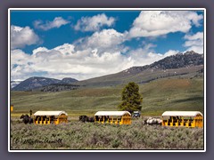 Roosevelt Ranch an der Loop Road