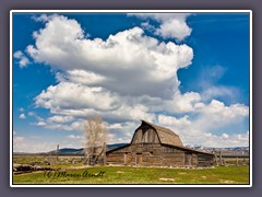 Tetons - Historische Mormon Row bei Jackson Hole