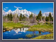 Tetons - Schwabacher Landing mit  Bieberbauten