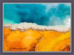 West Thumb Geysir - Paintpots