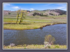 Wolfshöhle  am  Slough Creek