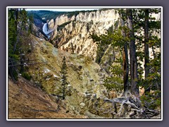 Canyon of the Yellowstone