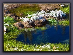 Erster Frost im Oktober