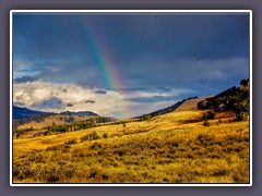 Lamar Tal - Regenbogen