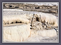 Mammoth Hot Springs . Canaray Spring - ausgetrocknet  im Herbst