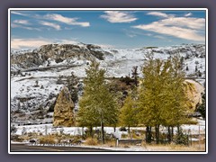 Mammoth Hot Springs - Liberty Gap