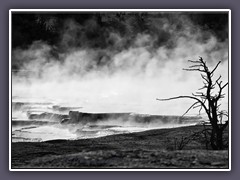 Mammoth Hot Springs - Main Terrace