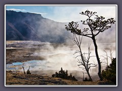 Mammoth Hot Springs - Overlook