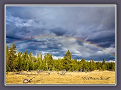 Nationalpark Yellowstone