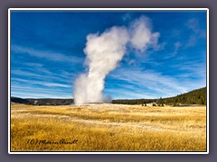 Old Faithful Geyser