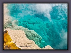 West Thumb Geyser Basin - Abbis Pool