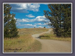 Blacktail Plateau