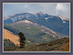 Der erste Schnee am Dunraven Pass