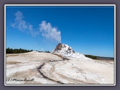 Eruption des White Dome Geysers