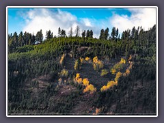 I love Yellowstone