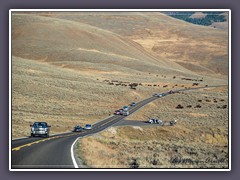 Lamar Valley Look