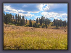 Landschaft Blacktail Plateau