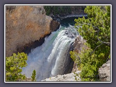 Lower Fall - mehr Bilder unter Yellowstone Frühling