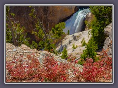 Lower Fall of the Yellowstone