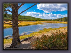 Madison River