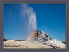 White Dome Geyser