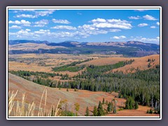 Dunraven Pass Overlook im Herbst