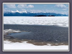 Lake Yellowstone im Frühling