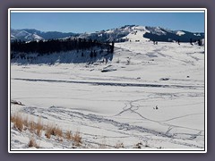 Spuren im Lamar Valley