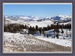 Winter im Yellwostone NP