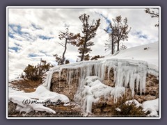 Auf dem Boardwalk von Mammoth Hot Springs