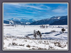 Erster Blick ins Lamar Tal