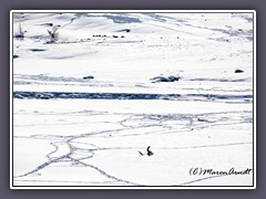 Geliebtes Lamar Tal - Spuren im Schnee