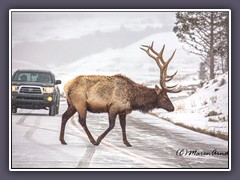 Highway 212 nach Cooke City