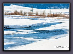 Lamar River - 64 km fließt er durch den Yellowstone NP