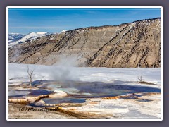 Mammoth Hot Springs