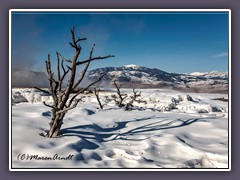 Minerva Quelle unter Eis und Schnee