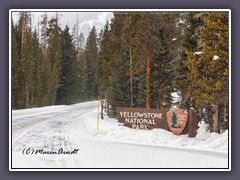 Yellowstone North East Entrance
