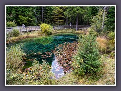Das Meerauge im Bodental auf 1052 m Seehöhe 