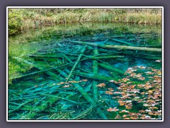 Ein  in der Eiszeit durch einen Gletscher erzeugtes Toteisloch