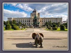 Wien - Blick vom Naturhistorischen Museum 