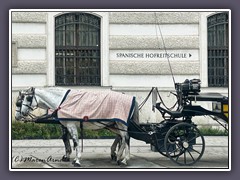 Wien - Vor der Spanischen Hofreitschule