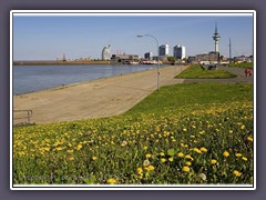 Frühling an der Weser