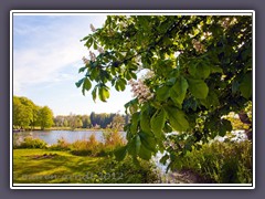 Frühling im Speckenbüttler Park